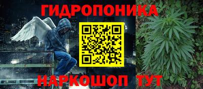 не бодяженный Заводоуковск
