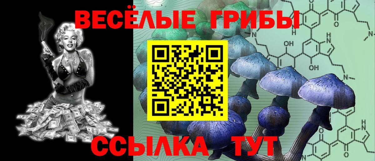 Галлюциногенные грибы ЛСД Кумертау