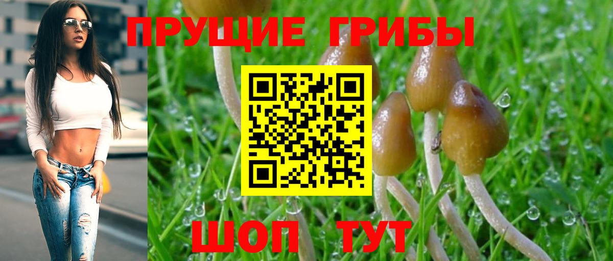 Галлюциногенные грибы Psilocybine cubensis  Вход с VPN  Псилоцибиновые грибы мухоморы  Кумертау 